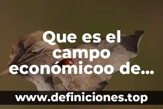 Que es la empresa soled 5 Que es el campo económicoo de una empresa