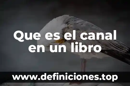 ¿Qué es un algoritmo libro de Aidez? 5 Que es el canal en un libro
