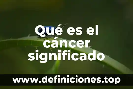 Que es una piñata significado 8 Qué es el cáncer significado