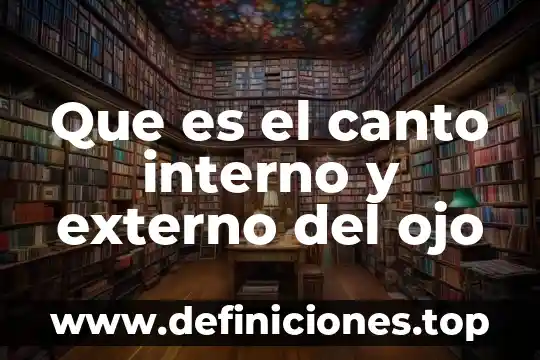 Qué es un factor interno y externo 5 Que es el canto interno y externo del ojo