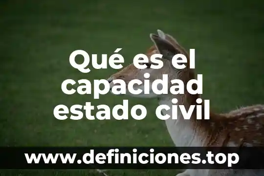 Que es un juicio de orden civil 4 Qué es el capacidad estado civil