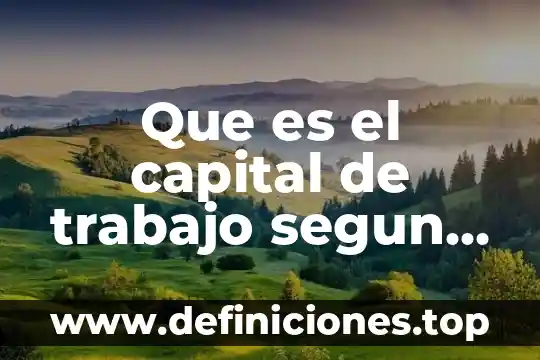 Que es pensamiento segun skinner 4 Que es el capital de trabajo segun baca