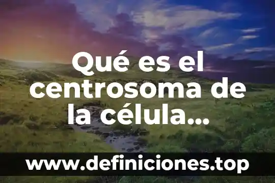 Qué es el centrosoma de la célula animal