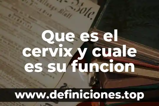 Que es el cervix y cuale es su funcion