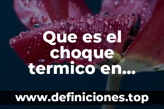 Que es la diferenciacion de las celulas 3 Que es el choque termico en celulas vegetales