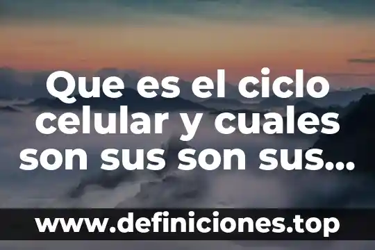 Que es el ciclo celular y cuales son sus son sus etapas