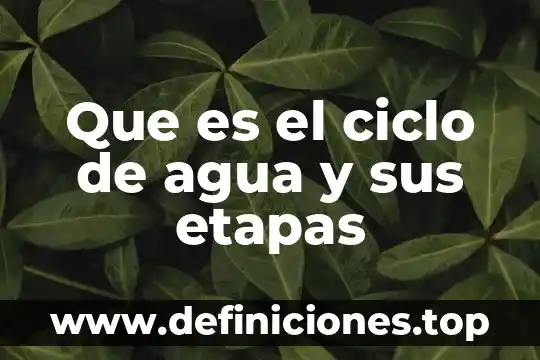 Que es el ciclo de agua y sus etapas