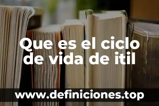 Salvar una vida que es 3 Que es el ciclo de vida de itil