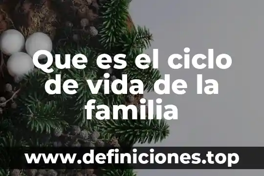 Qué es padrón de padres de familia 3 Que es el ciclo de vida de la familia