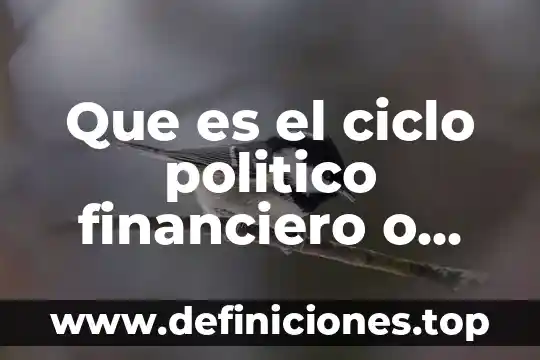 Que es el ciclo politico financiero o presidencial