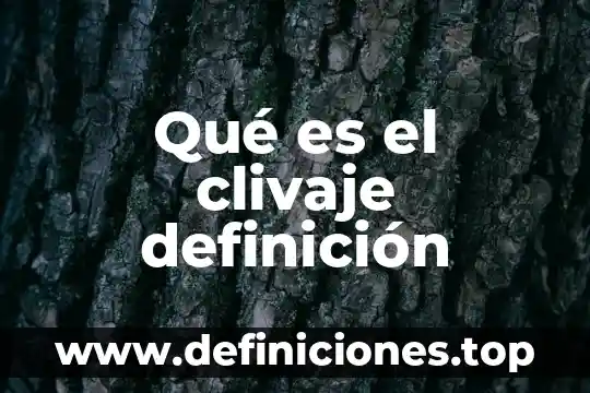 Qué es el clivaje definición