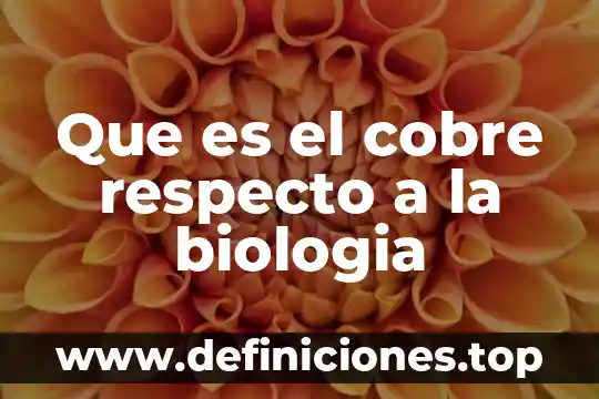 Que es el cobre trabajo 5 Que es el cobre respecto a la biologia