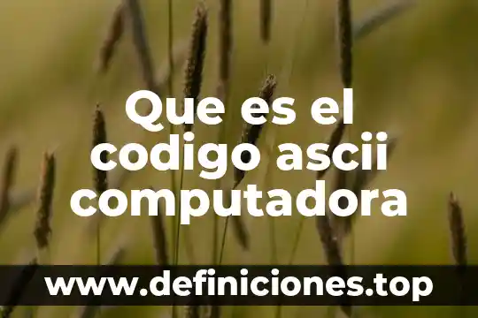 Que es la id computadora 5 Que es el codigo ascii computadora