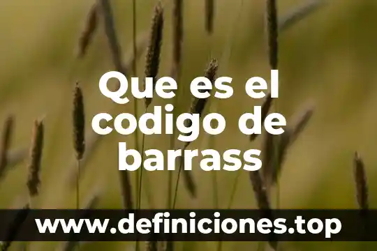 Que es establecimiento permanente codigo fiscal de la federacion 5 Que es el codigo de barrass