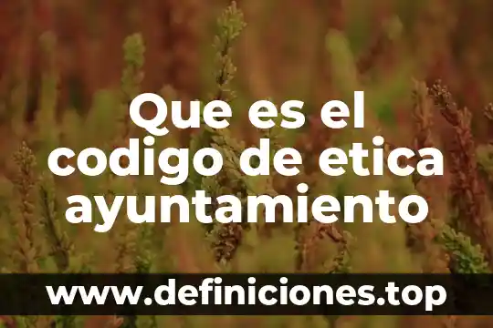 Que es el codigo de etica ayuntamiento