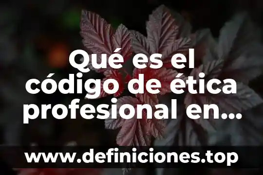 Que es un codigo iata 6 Qué es el código de ética profesional en Colombia