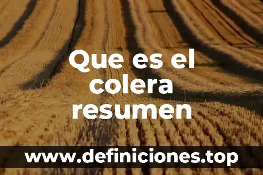 Que es la circulacion linfatica resumen 8 Que es el colera resumen