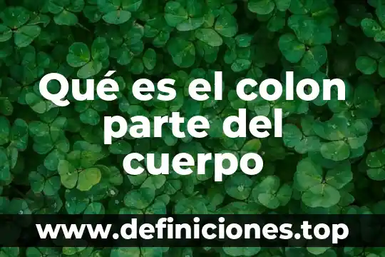 Qué es cuerpo de referencia 8 Qué es el colon parte del cuerpo