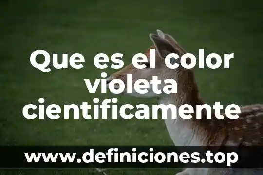 Que es el color violeta cientificamente