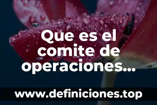 Que es vocacion musical 6 Que es el comite de operaciones activas y pasivas