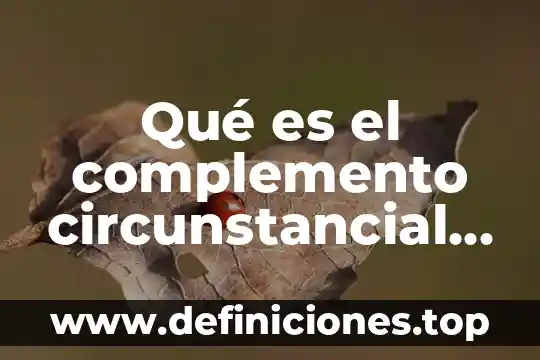 Ejemplos que es el significado y el significante 4 Qué es el complemento circunstancial y ejemplos