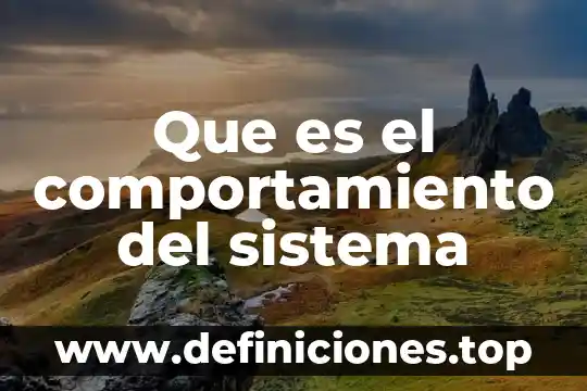 Que es el comportamiento del sistema