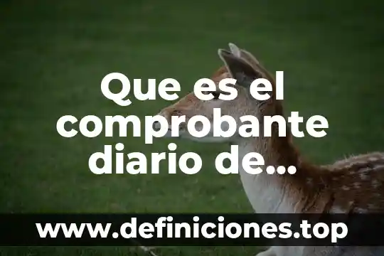Que es un periodico diario 8 Que es el comprobante diario de contabilidad