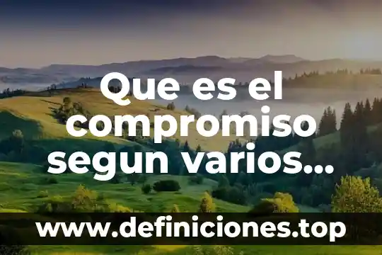 Que es el compromiso segun varios autores