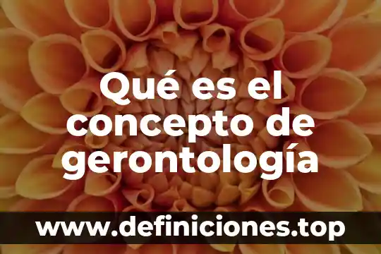 Qué es Educalurantes con su concepto 8 Qué es el concepto de gerontología