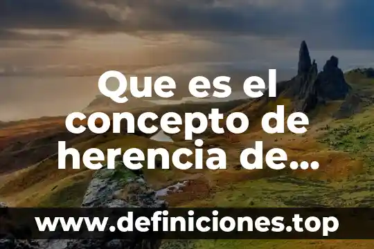 Que es el concepto de herencia de p.o.o