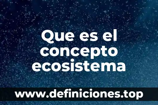 Que es el concepto ecosistema