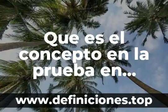 Que es el concepto en la prueba en materia civil