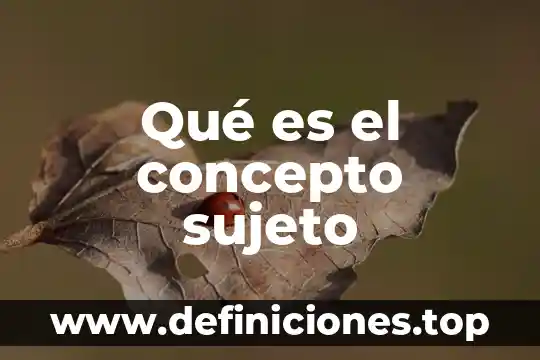 Qué es el concepto sujeto