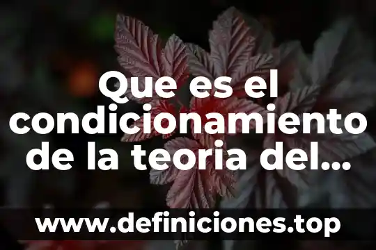Que es el condicionamiento de la teoria del aprendizaje