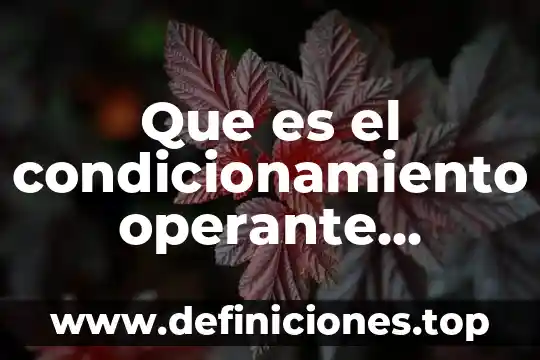 Que es el condicionamiento operante definición y ejemplos