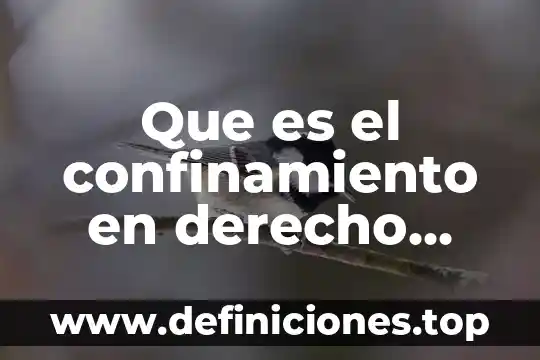Que es el confinamiento en derecho penal