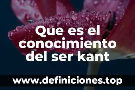 Que es un ideal segun kant 8 Que es el conocimiento del ser kant