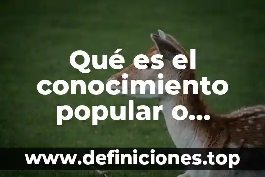 Qué es la lenguaje vulgar culto ejemplo 3 Qué es el conocimiento popular o vulgar