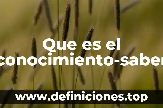 Que es el conocimiento-saber