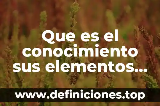 Que es el metodos de valuacion de inventarios 8 Que es el conocimiento sus elementos metodos tipos y objetivos