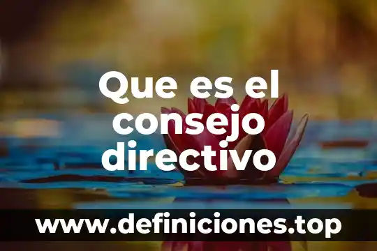 Que es el consejo de indias mexico dibujo 7 Que es el consejo directivo