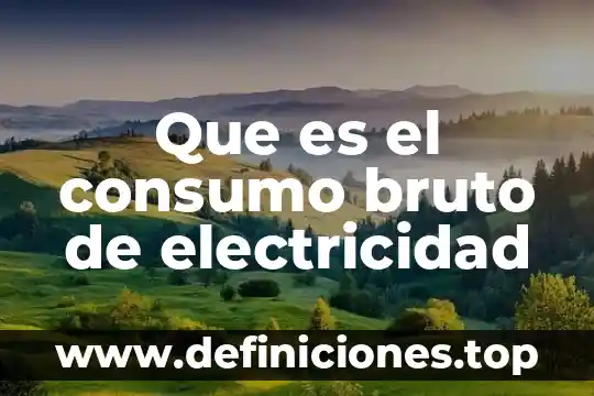 Por que es importante el producto interno bruto 3 Que es el consumo bruto de electricidad