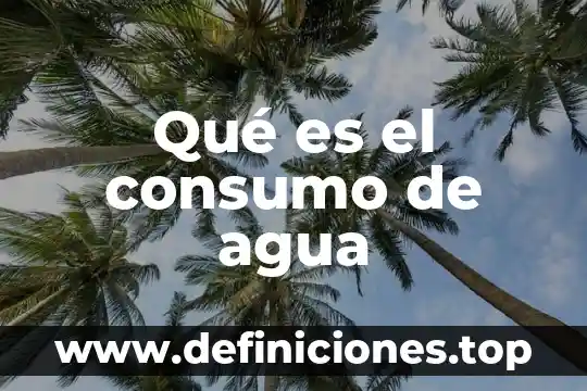 Que es un decilitro de agua 4 Qué es el consumo de agua