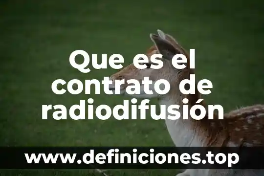 Que es recesion en un contrato 4 Que es el contrato de radiodifusión