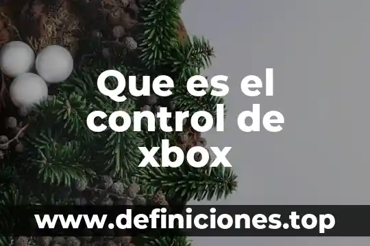 Que es un control interno de inventario 3 Que es el control de xbox