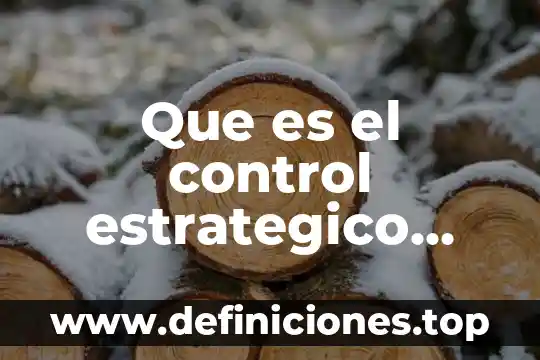Que es el programa estrategico comercial dentro de la mercadotecnia 5 Que es el control estrategico ejemplo