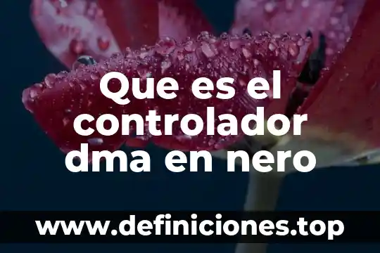 Qué es un controlador flujo 3 Que es el controlador dma en nero