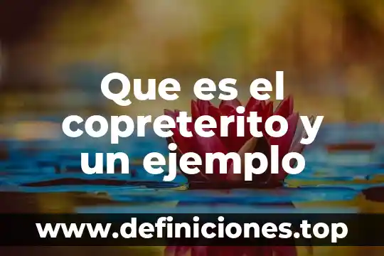 Que es susedaneo ejemplo 3 Que es el copreterito y un ejemplo