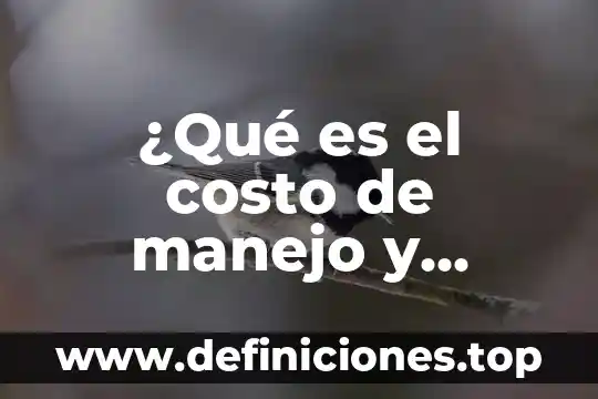 Que es panel de navegacion en informatica 8 ¿Qué es el costo de manejo y empaque?