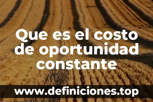 Que es el costo de oportunidad constante